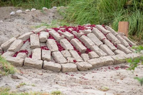 Fresh grave with mud bricks and rose petals symbolizing death and remembrance Stock Photos