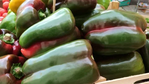 Fresh green and red bell peppers in an Italian market Stock Footage 305853576