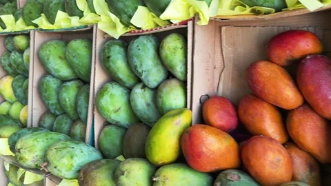 Fresh Green and Red Mango Fruits on Display at Tropical Outdoor Fruit Market Stock Footage 341994695
