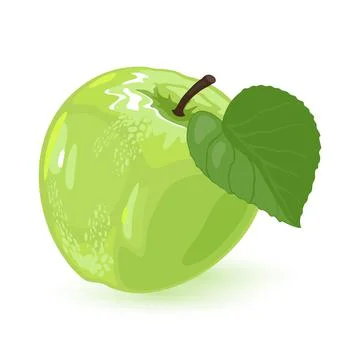 Fresh green apple and segment of it. Healthy, vegetarian snack. Stock Illustration
