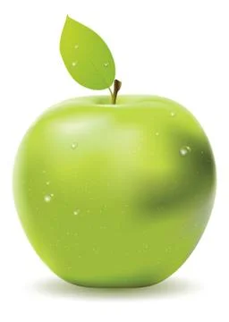 Fresh green apple Stock Illustration