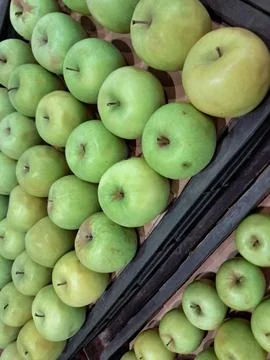 Fresh green apples background texture 스톡 사진
