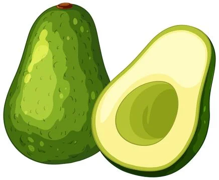 Fresh Green Avocado Vector Illustration with Sliced Half and Pit Stock Illustration