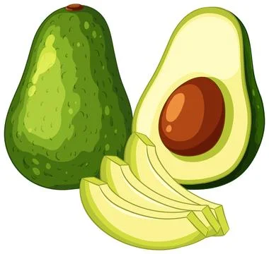 Fresh Green Avocado Vector Illustration with Slices and Pit Stock Illustration