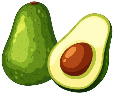 Fresh Green Avocado Vector Illustration with Whole Fruit and Sliced Half Stock Illustration