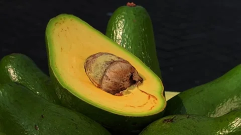 The Fresh Green Avocados Video stock 320529377