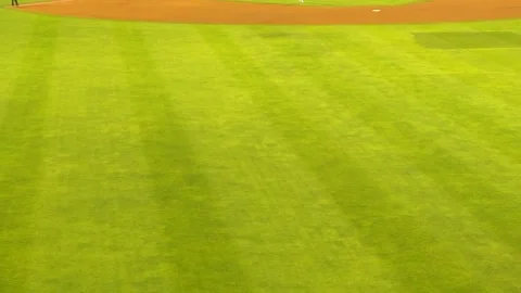 Fresh green baseball field grass with striped mowing pattern at a professional Stock Footage 338170270