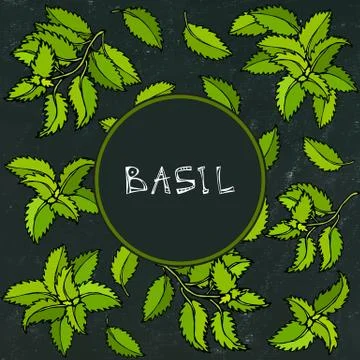 Fresh Green Basil Background and Frame. Aromatic Cooking Herb. Steak Meat Spi Stock Illustration