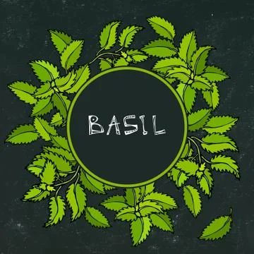 Fresh Green Basil Background and Frame. Aromatic Cooking Herb. Steak Meat Spi Stock Illustration