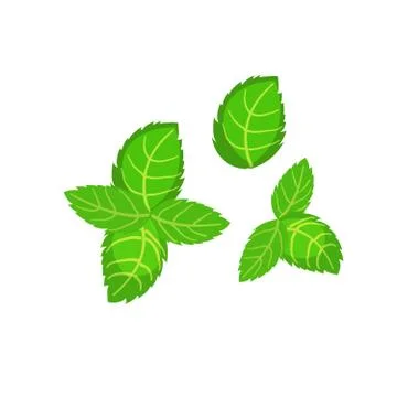 Fresh green basil leaves icon. Flat illustration of basil leaves vector icon  Stock Illustration