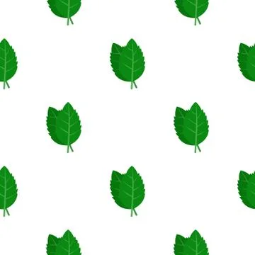 Fresh green basil leaves pattern flat Illustrazione stock