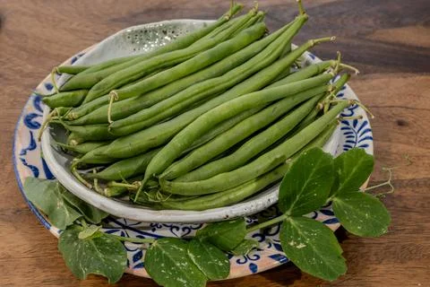 Fresh green beans, nutrient-dense legumes with green pods, crisp texture, f.. Stock Photos