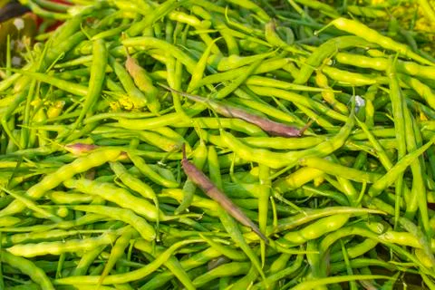 Fresh green beans Stock Photos