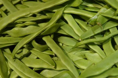 Fresh green beans. 스톡 사진