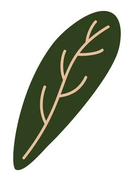 Fresh green bok choy leaf, organic Asian vegetable, healthy leafy greens, farm Stock Illustration