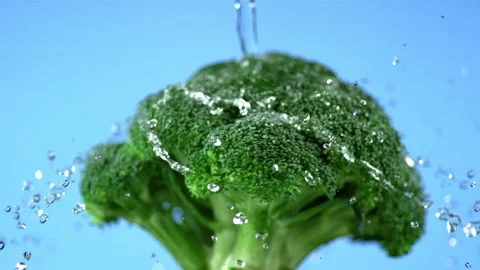 Fresh green broccoli being washed with water stream on blue background clos.. Stock Footage 327573103