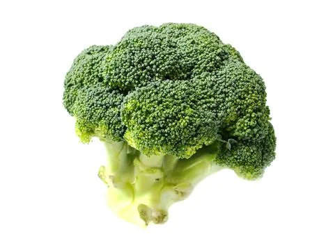 Fresh green broccoli isolate on white. Healthy food concept Stock Photos