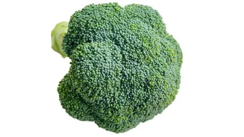 Fresh green broccoli isolated on the white background. Stock Photos