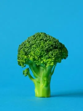Fresh green broccoli Stock Photos