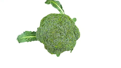Fresh Green Broccoli Rotating On White Background Top View Loop Stock Footage 325968858