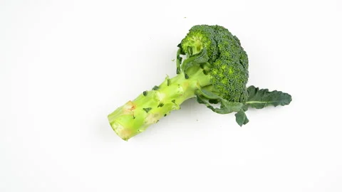 Fresh Green Broccoli Stalk Rotating On White Background Top View Loop Stock Footage 325968110