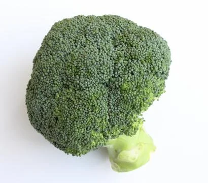 Fresh green broccoli on white background Stock Photos