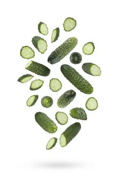 Fresh green bumpy cucumber whole, sliced, fly or fall as art composition isol Stock Photos