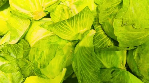 Fresh green cabbage heads rotating in a vibrant display of healthy eating, 動画素材 318310971