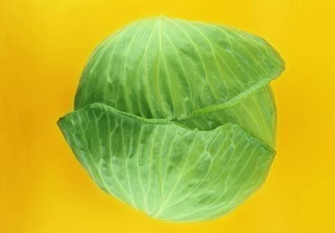 Fresh green cabbage Stock Photos