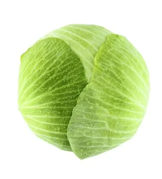Fresh green cabbage Stock Photos