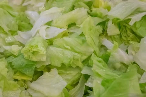 The fresh green cabbage. Stock Photos