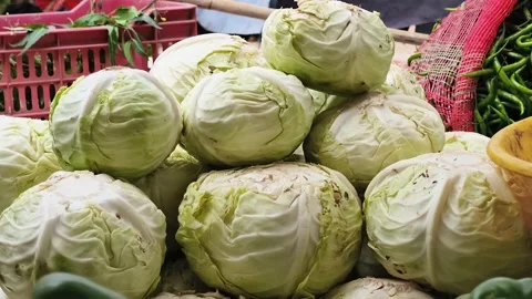 Fresh Green Cabbages Displayed at Local Vegetable Market for Healthy Diet Stock Footage 337874291