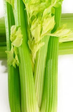 Fresh green celery Stock-Fotos