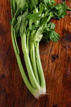 Fresh green celery Stock Photos