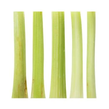 Fresh green celery slice ingredient  top view Fresh green celery slice ingr.. Stock Photos