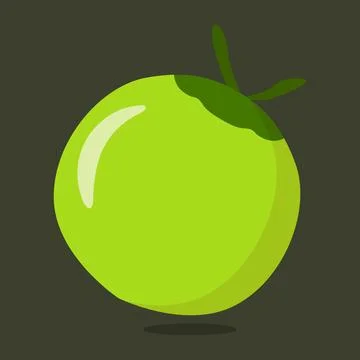 Fresh green coconut fruit vector design. Stock Illustration