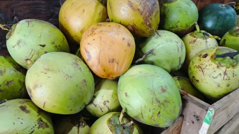 Fresh green coconuts in crate, Bali market, 4K upward camera pan Stock Footage 313191401