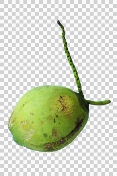 Fresh green coconuts isolated on background Stock Photos