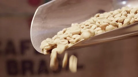 Fresh Green Coffee Beans pouring Stock Footage 137730285
