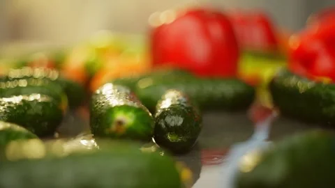 A fresh green cucumber appears in the frame in the hot rays of the sun. Stock-Footage 296361959