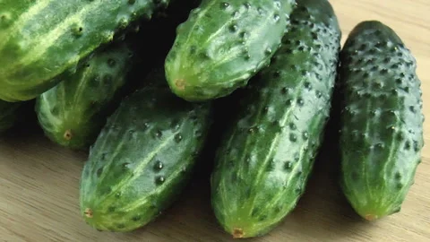 Fresh green cucumber Stock Footage 91962595