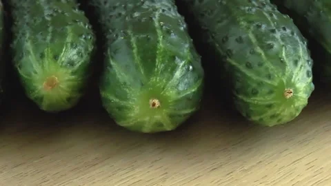 Fresh green cucumber Stock Footage 91962683