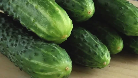 Fresh green cucumber Stock Footage 91962761