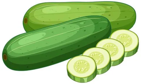 Fresh Green Cucumber Vector Illustration with Sliced Pieces Stock Illustration