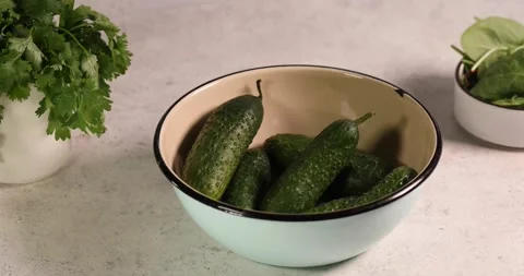 Fresh green cucumber vegetable fruit in white bowl washing Stock Footage 194104608