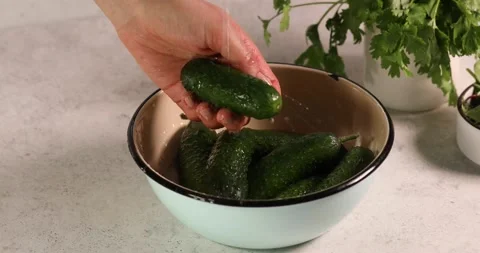Fresh green cucumber vegetable fruit in white bowl washing Stock Footage 194105045