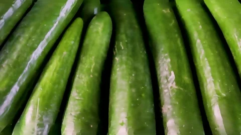 Fresh green cucumbers piled in display Stock Footage 338167360