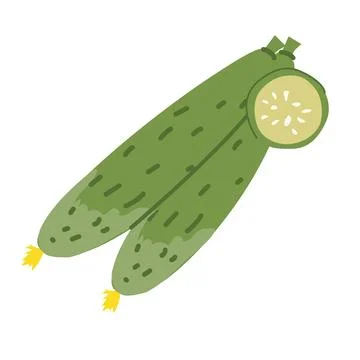 Fresh green cucumbers with sliced end on white background Stock Illustration