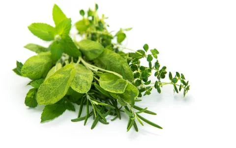 Fresh green culinary herbs creating a healthy food concept Stock Photos