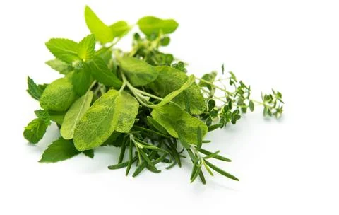 Fresh green culinary herbs creating a healthy food concept Stock Photos